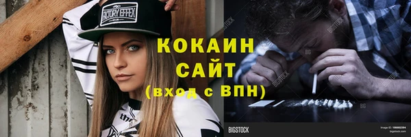 хмурый Осинники