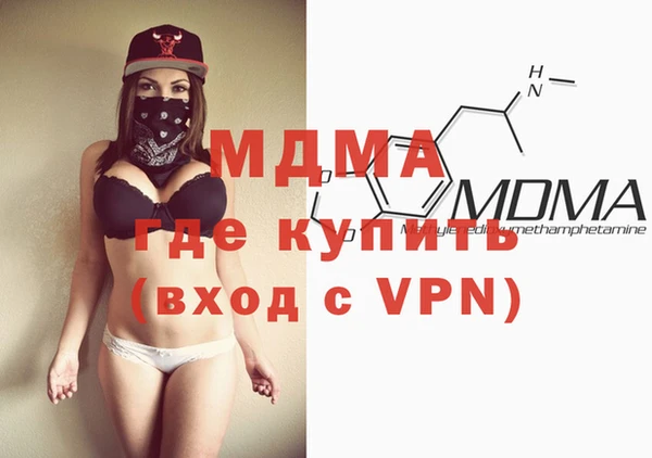 мдпв Гусев