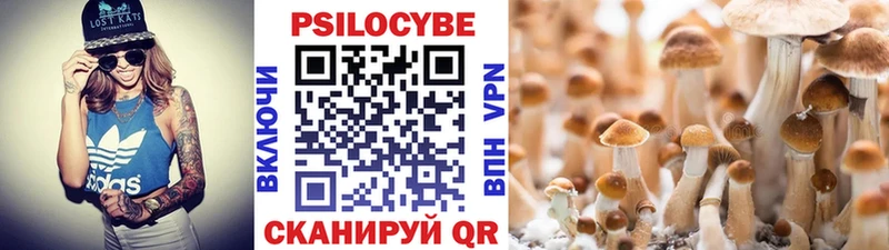 kraken онион  Новомичуринск  Псилоцибиновые грибы прущие грибы 